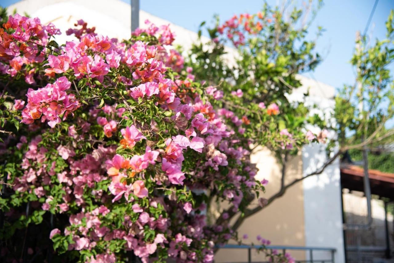 Rena'S Panorama View House Guest House Vovikes ภายนอก รูปภาพ